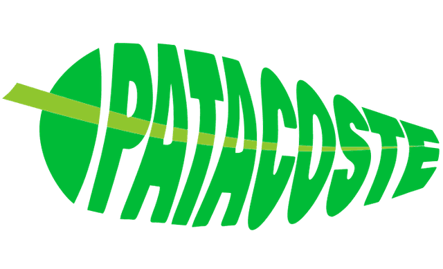 Patacoste Logo